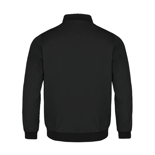 Chargez l'image dans la visionneuse de la galerie, L02130 - Crosswind - Blouson Aviateur pour Homme