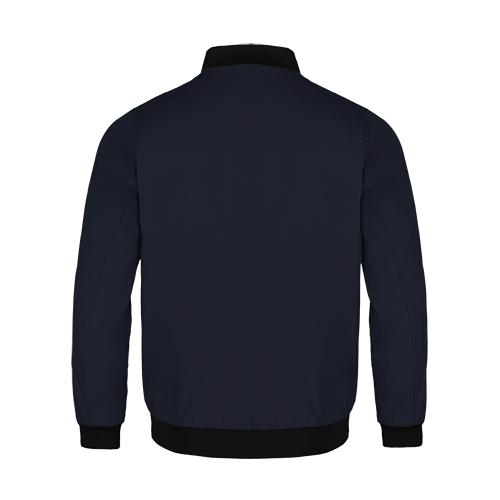 Chargez l'image dans la visionneuse de la galerie, L02130 - Crosswind - Blouson Aviateur pour Homme
