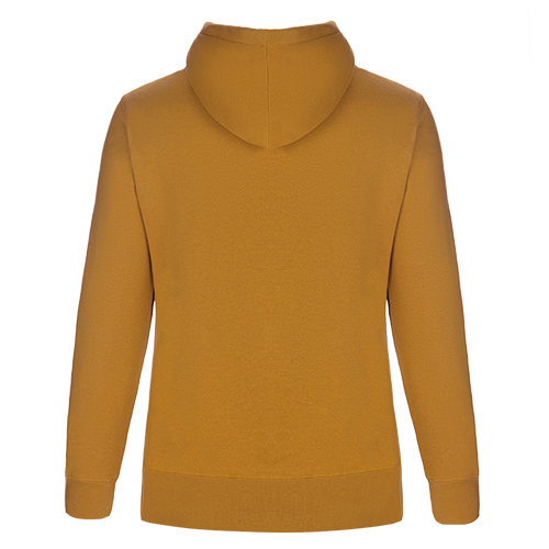 Load image into Gallery viewer, L00661 - Cedar Point - Ladies Pullover Hooded Sweatshirt