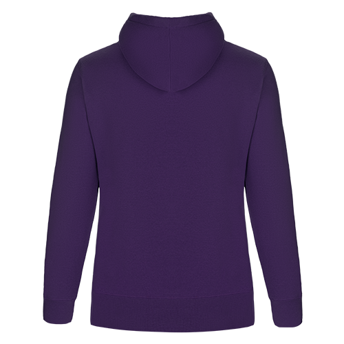 L00661 - Cedar Point - Ladies Pullover Hooded Sweatshirt